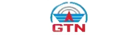 GTN Engineering (India) Ltd